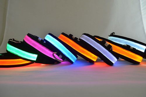 Collar LED para Perros Seguridad Nocturna
