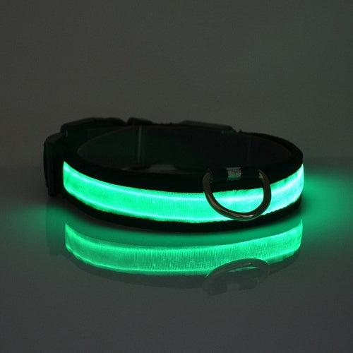 Collar LED para Perros Seguridad Nocturna