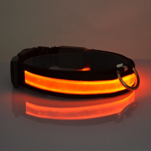 Collar LED para Perros Seguridad Nocturna